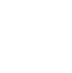 web SP icono feature 35