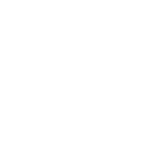 web SP icono feature 39