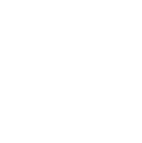 web SP icon valores 1 Technical Leadership