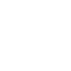 web SP icon valores 3 Strategic Partner