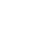 web SP icon valores 5 Shielded Security